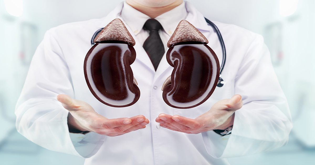 Can Diazepam Damage Kidneys?